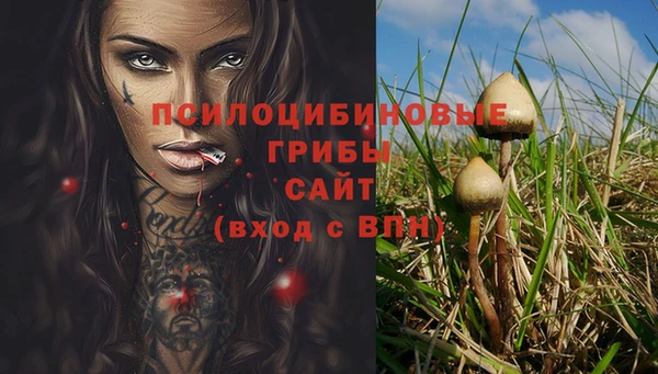 альфа пвп Вяземский