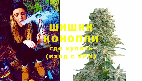 стафф Бородино