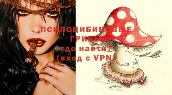 сатива Верхнеуральск
