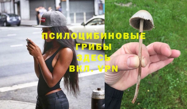 синтетический гашиш Саяногорск