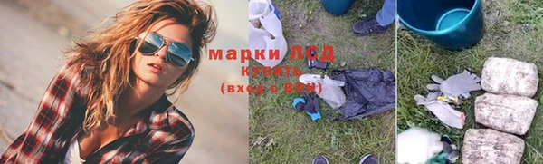 PSILOCYBIN Вязники