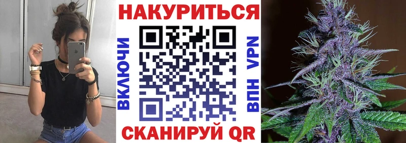 Конопля сатива  Жирновск 